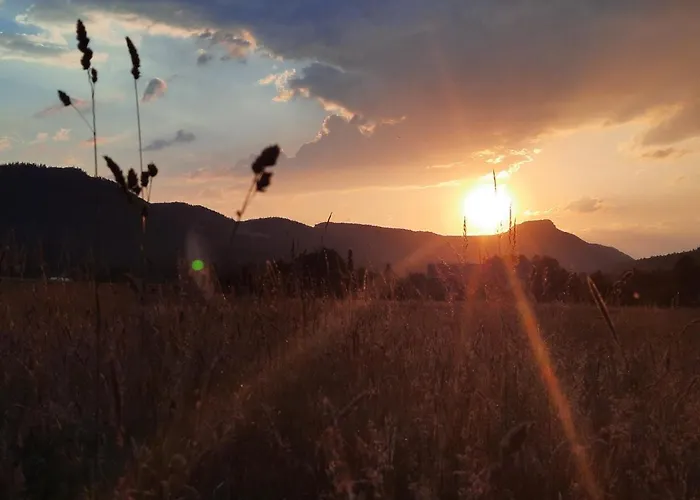 Tatil Evi Ostoja Caloroczny Z Balia *